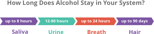 How Long Does Alcohol Stay in Your System?